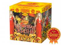 Красивая жизнь Фейерверк купить в Донецке | doneck.salutsklad.ru