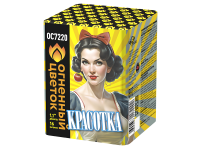 Красотка Батарея салютов купить в Донецке | doneck.salutsklad.ru