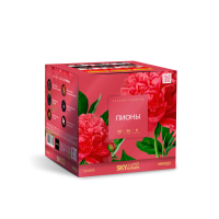 Пионы Салют купить в Донецке | doneck.salutsklad.ru