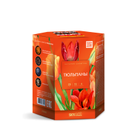 Тюльпаны Салют купить в Донецке | doneck.salutsklad.ru