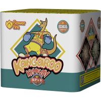 Кенгуру Батарея салютов купить в Донецке | doneck.salutsklad.ru