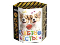 Счастье есть! Салют купить в Донецке | doneck.salutsklad.ru