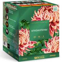 Хризантемы Фейерверк купить в Донецке | doneck.salutsklad.ru