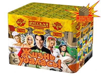 Жизнь удалась Фейерверк купить в Донецке | doneck.salutsklad.ru