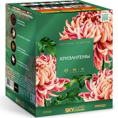 Хризантемы Фейерверк купить в Донецке | doneck.salutsklad.ru