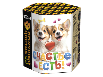 Счастье есть! Салют купить в Донецке | doneck.salutsklad.ru