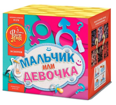 Мальчик или девочка М Фейерверк купить в Донецке | doneck.salutsklad.ru